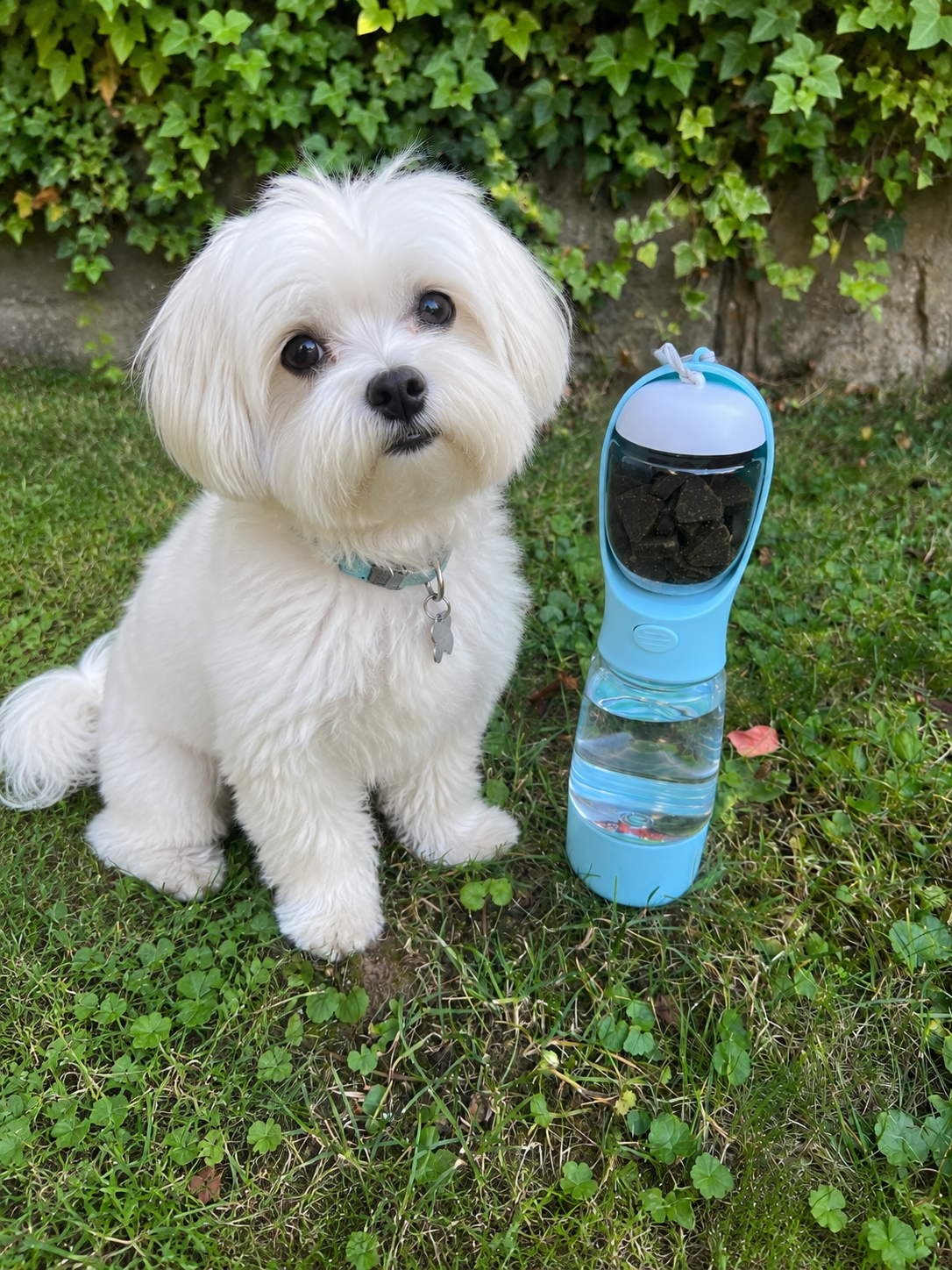 Gassi Pro™ 4-in-1 Hundetrinkflasche