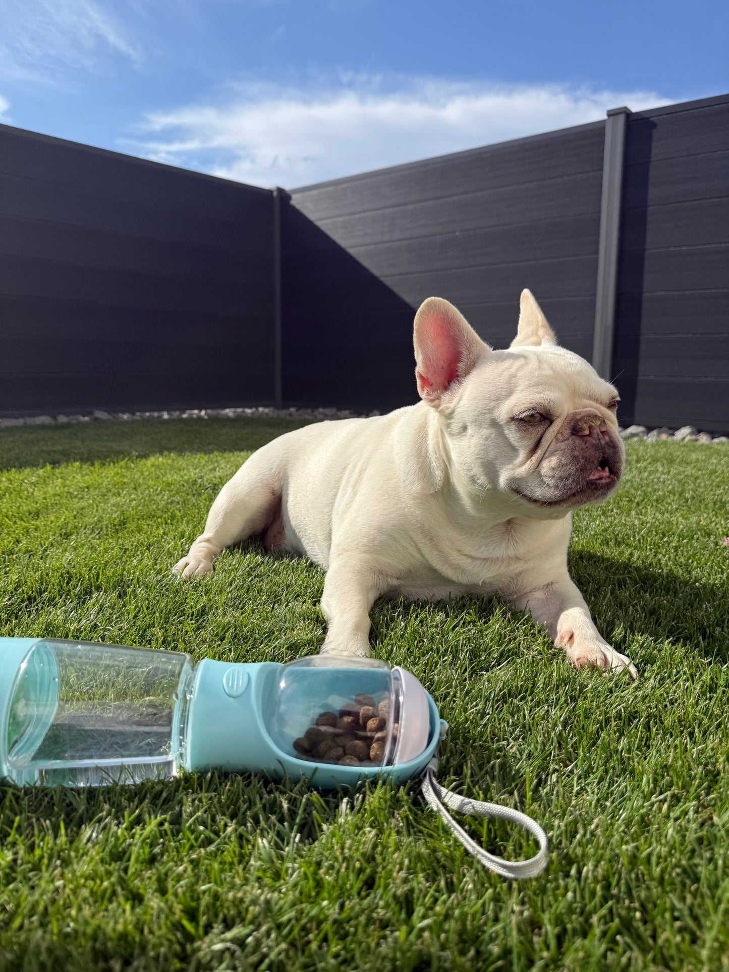 Gassi Pro™ 4-in-1 Hundetrinkflasche