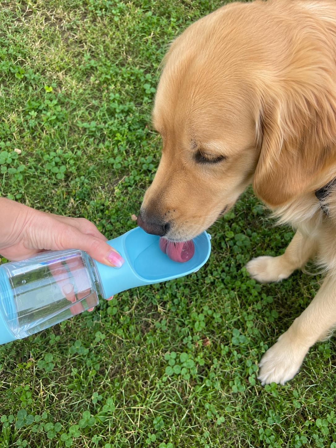 Gassi Pro™ 4-in-1 Hundetrinkflasche